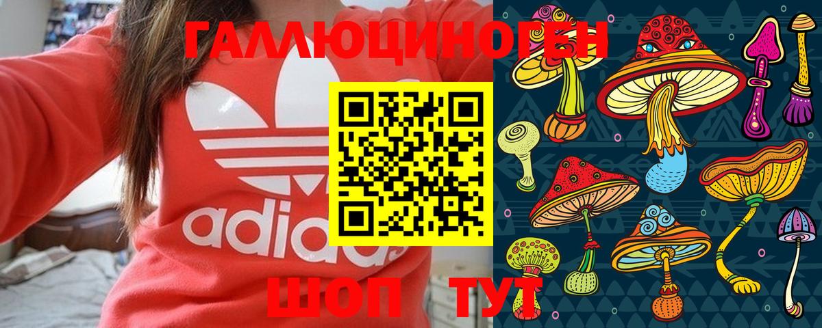 Орёл  Псилоцибиновые грибы MAGIC MUSHROOMS  Вход с VPN 