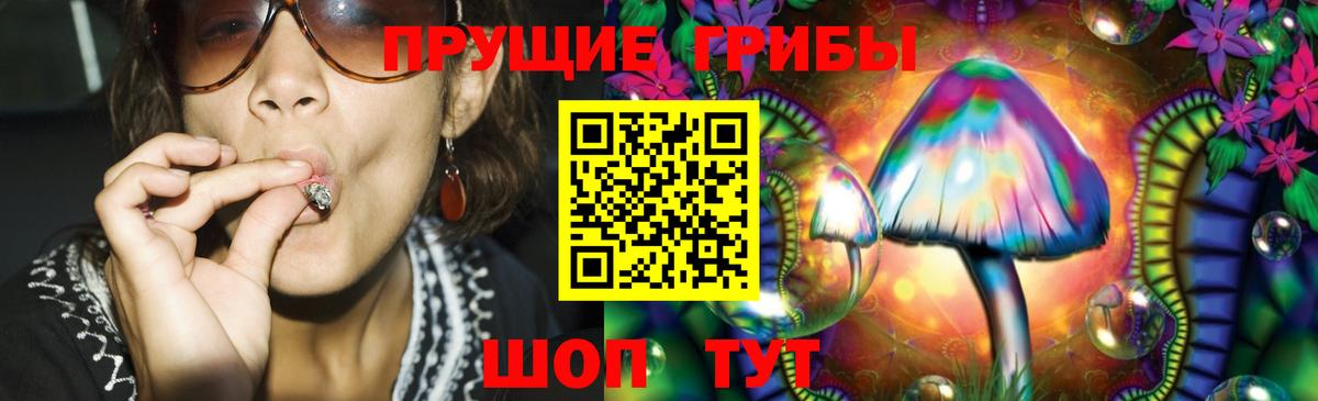 Псилоцибиновые грибы Psilocybe Орёл